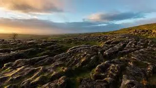 Dawn Photo Walks