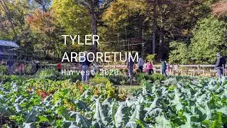 Harvest 2020 Tyler Arboretum