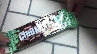 팀탐 민트초코 timtam mint chocolate flavor