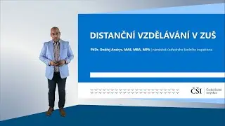 Distanční vzdělávání v ZUŠ