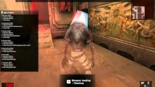 Wolf Team GamePlay