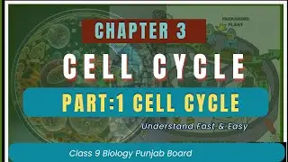 Class 9 Biology Chapter 4 Cell Cycle Full Explanation in Urdu | Interphase G1, S  and G2