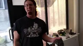Wyrmwick Armour Hammer Test