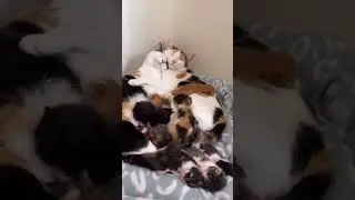 Beautiful family ❤