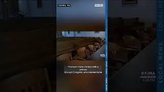 Еще один обвинительный приговор по делу о &laquo;сетевой няне&raquo;