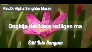 Rev.Dr Alpha Senghba Marak (@BesdarSangma 