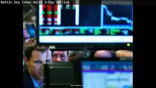 Baltic Dry Index Halts 2-Day Decline