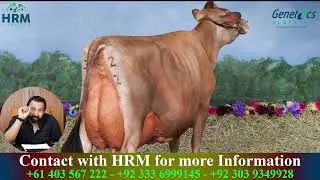 HRM Genetics &ndash; The Hub of Superior Genetics in Pakistan -Invest in Genetics, Not Just a Price Tag