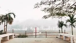 Islamic University Kushtia winter morning