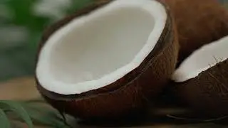 PT. Sagara Kelapa Muda - Indonesia