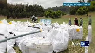 Pollution solution: Surfrider Kauai keeps the coastline clean