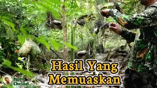 Menjebak Burung Pakai Jaring Sampai Dua Hari Begini Hasilnya