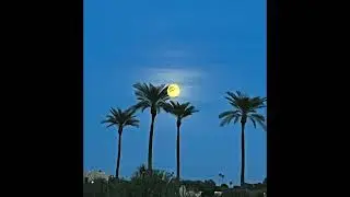 What Happens After Midnight - Eric Sax Davidson Original