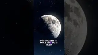 The Moon Is More Important Than You Think 🌘 #spaceexploration #space #moonspace #intercosmos