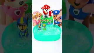 Relaxing Unboxing Experience with Paw Patrol Toy for US Collectors 🇺🇸 #pawpatroltoys #pawpatrol