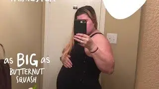 Pregnacy belly progression