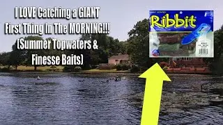 I LOVE Catching a GIANT First Thing In The MORNING!!! (Summer Topwaters & Finesse Baits)