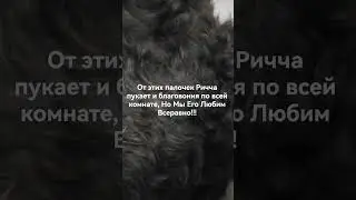 Ричча / Марта Добрая