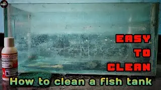 Fish tank cleaning / fish tank cleaning tips / fish tank salt remover / how to clean fish tank /