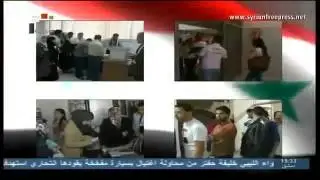 Syria News 4/6/2014, Int. observers: Syria's voting process was fair and democratic