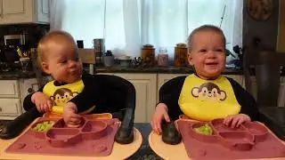 Twins try honey dew melon