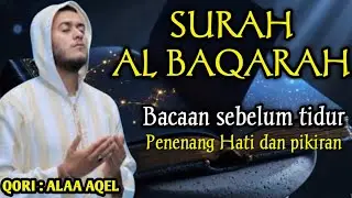 SURAH AL BAQARAH | BACAAN SEBELUM TIDUR PENENANG HATI DAN PIKIRAN | BIKIN SETAN PADA KABUR