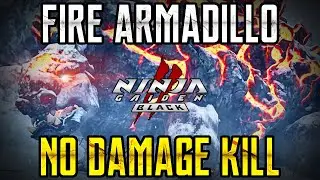 Ninja Gaiden II Black &ndash; Fire Armadillo No Damage Kill (Master Ninja Difficulty)