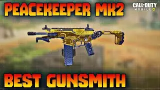 Peacekeeper MK2 Best gunsmith | Best Peacekeeper class setup