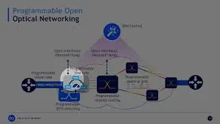 TNC19 - Differentiation in the Age of Optical Convergence
