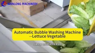 Lettuce Washing Machine | Efficient Vegetable Cleaning for Central Kitchens & Food Processing