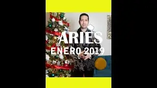 ARIES ENERO 2019