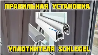 Правильная установка уплотнителя Schlegel #заменауплотнителя #qlon #ремонтокон #schlegel #шлегель