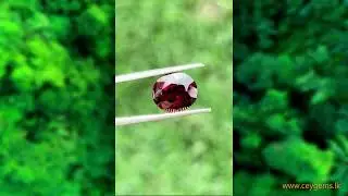 Natural Rhodolite Red Garnet &ndash; 5.59 CT (Oval Mixed Cut, Untreated, Eye Clean)