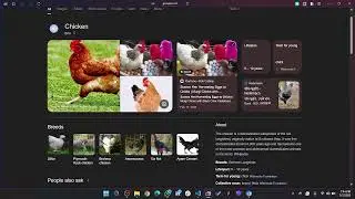Get started with React | MERN course