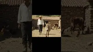 Cute Baby Donkey in Cyprus Countryside | Farm Life and Village Animals #animals