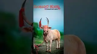 #terabandirace#automobile #farming #cow #car #comedy #nothingimposibleinthisworld #31march#18january