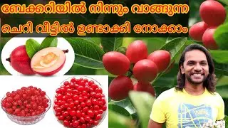 വീട്ടിൽ ബേക്കറി ചെറി എങ്ങനെ ഉണ്ടാക്കാം/how to make bakery cherry in home