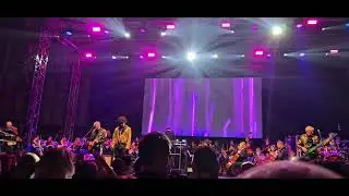 POP DESIGN  ( 40 let ) & SIMFONIČNI ORKESTER CANTABILE   -  ZBOGOM