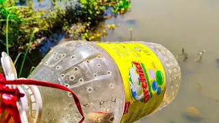 Amazing Fish Trap by Plastic Bottle | Catch Fish In The River by Plastic Bottle