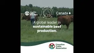 Ahead of the herd in sustainability.