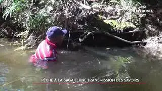 Pêche à la sagaie : une transmission des savoirs