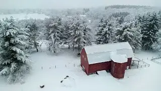 NY Winter at its best: Glide through the snow-covered trees