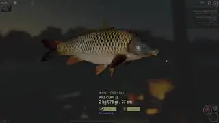 The Fisher Online Ukraine Wild Carp Strategy
