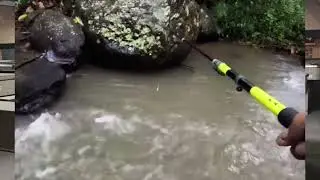 Cewe cakep mancing, Hari Minggu hari mancing sedunia #harimancingsedunia #mancingliaran #mancing