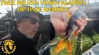 Twee reuzen vissen klappen op onze Baarzen. FishVlog #150.