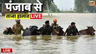 Punjab Flood Update Live: पंजाब में बद से बदत्तर हालात | Heavy Rain in Punjab | Weather Latest News