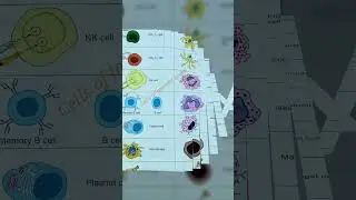 Cell of Immune system  #subscribe #like #shorts #cellbiology #science #tranding #viralvideo #youtube