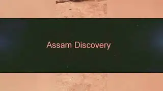 Cat and snake real fight/ Assam Discovery