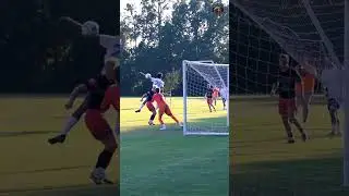 Charlie 𝗕𝗥𝗜𝗖𝗞 𝗪𝗔𝗟𝗟 Farrar 🧤🧱