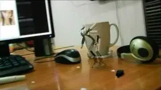 NUI STUDIO SHOWREEL 2010